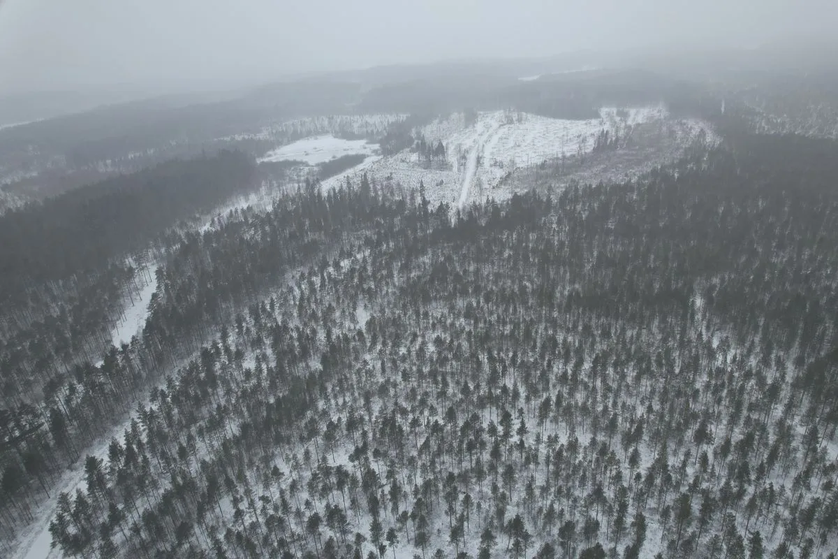 Hallanvahti Solar Park