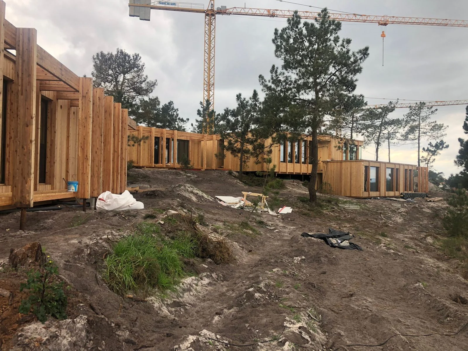 Modern CLT villa on screw pile foundations